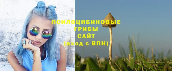 spice Осташков