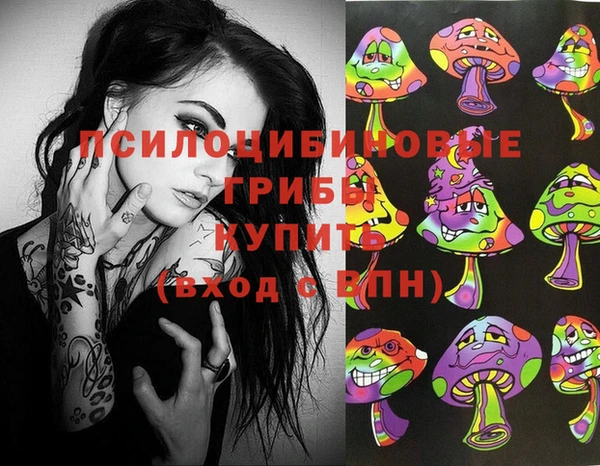 mix Гусиноозёрск