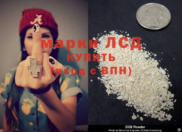 spice Осташков