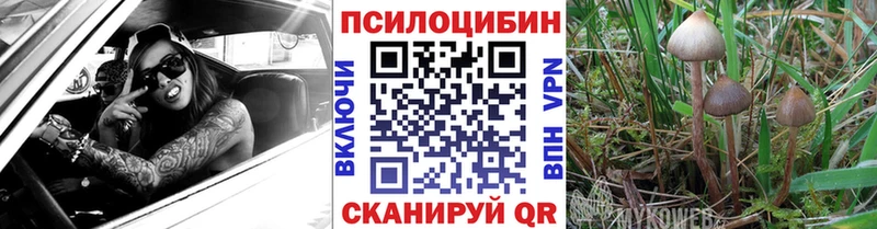 Галлюциногенные грибы MAGIC MUSHROOMS  hydra зеркало  Верхняя Салда  где продают  