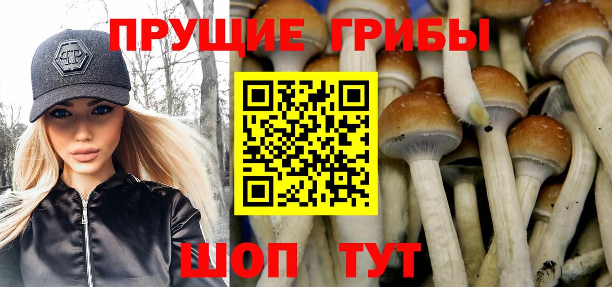 Верхняя Салда  как найти   Вход с VPN  Галлюциногенные грибы ЛСД 