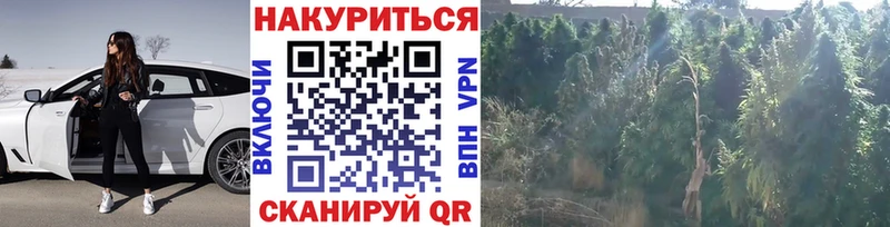 Шишки марихуана планчик купить закладку Верхняя Салда